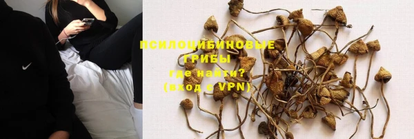 амф Инта