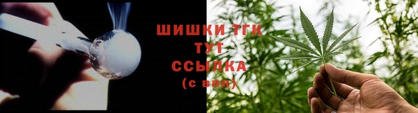 амф Инта