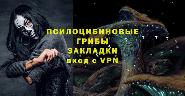 амф Инта